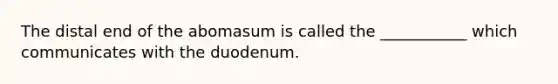 The distal end of the abomasum is called the ___________ which communicates with the duodenum.