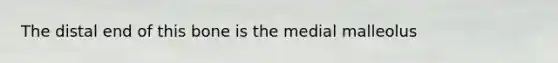 The distal end of this bone is the medial malleolus