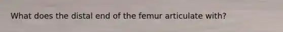 What does the distal end of the femur articulate with?