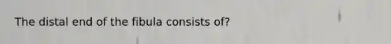 The distal end of the fibula consists of?