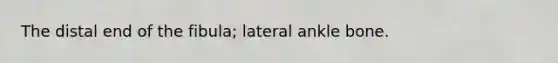 The distal end of the fibula; lateral ankle bone.
