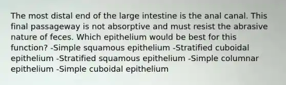 The most distal end of the <a href='https://www.questionai.com/knowledge/kGQjby07OK-large-intestine' class='anchor-knowledge'>large intestine</a> is the anal canal. This final passageway is not absorptive and must resist the abrasive nature of feces. Which epithelium would be best for this function? -Simple squamous epithelium -Stratified cuboidal epithelium -Stratified squamous epithelium -Simple columnar epithelium -Simple cuboidal epithelium