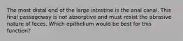 The most distal end of the large intestine is the anal canal. This final passageway is not absorptive and must resist the abrasive nature of feces. Which epithelium would be best for this function?