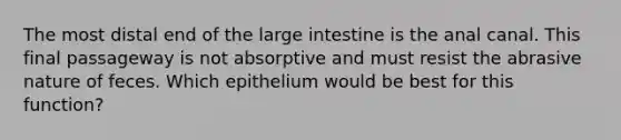 The most distal end of the <a href='https://www.questionai.com/knowledge/kGQjby07OK-large-intestine' class='anchor-knowledge'>large intestine</a> is the anal canal. This final passageway is not absorptive and must resist the abrasive nature of feces. Which epithelium would be best for this function?