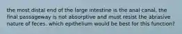 the most distal end of the large intestine is the anal canal. the final passageway is not absorptive and must resist the abrasive nature of feces. which epithelium would be best for this function?