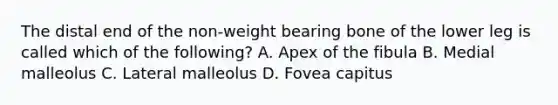 The distal end of the non-weight bearing bone of the lower leg is called which of the following? A. Apex of the fibula B. Medial malleolus C. Lateral malleolus D. Fovea capitus