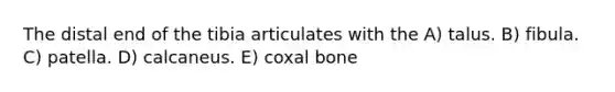 The distal end of the tibia articulates with the A) talus. B) fibula. C) patella. D) calcaneus. E) coxal bone