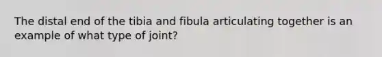 The distal end of the tibia and fibula articulating together is an example of what type of joint?