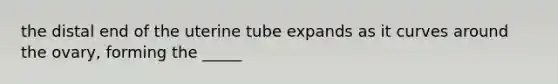 the distal end of the uterine tube expands as it curves around the ovary, forming the _____