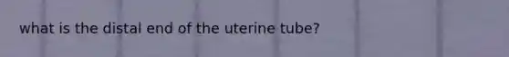 what is the distal end of the uterine tube?