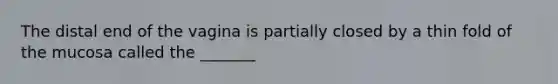 The distal end of the vagina is partially closed by a thin fold of the mucosa called the _______