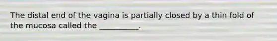 The distal end of the vagina is partially closed by a thin fold of the mucosa called the __________.