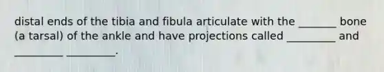 distal ends of the tibia and fibula articulate with the _______ bone (a tarsal) of the ankle and have projections called _________ and _________ _________.