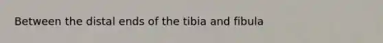 Between the distal ends of the tibia and fibula