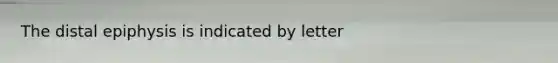 The distal epiphysis is indicated by letter