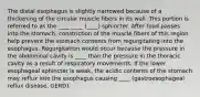 The distal esophagus is slightly narrowed because of a thickening of the circular muscle fibers in its wall. This portion is referred to as the ____ ____ (____) sphincter. After food passes into the stomach, constriction of the muscle fibers of this region help prevent the stomach contents from regurgitating into the esophagus. Regurgitation would occur because the pressure in the abdominal cavity is ____ than the pressure in the thoracic cavity as a result of respiratory movements. If the lower esophageal sphincter is weak, the acidic contents of the stomach may reflux into the esophagus causing ____ (gastroesophageal reflux disease, GERD).