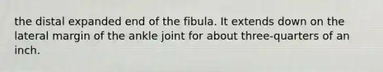 the distal expanded end of the fibula. It extends down on the lateral margin of the ankle joint for about three-quarters of an inch.