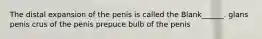 The distal expansion of the penis is called the Blank______. glans penis crus of the penis prepuce bulb of the penis