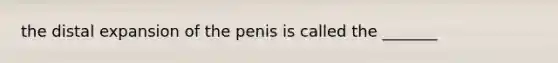 the distal expansion of the penis is called the _______