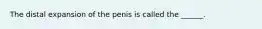 The distal expansion of the penis is called the ______.