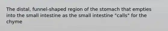 The distal, funnel-shaped region of the stomach that empties into the small intestine as the small intestine "calls" for the chyme