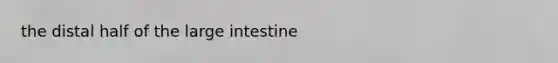 the distal half of the <a href='https://www.questionai.com/knowledge/kGQjby07OK-large-intestine' class='anchor-knowledge'>large intestine</a>
