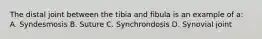 The distal joint between the tibia and fibula is an example of a: A. Syndesmosis B. Suture C. Synchrondosis D. Synovial joint