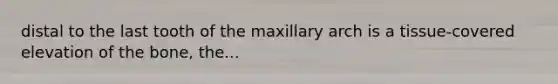 distal to the last tooth of the maxillary arch is a tissue-covered elevation of the bone, the...