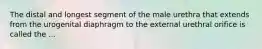 The distal and longest segment of the male urethra that extends from the urogenital diaphragm to the external urethral orifice is called the ...