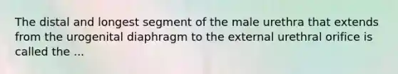 The distal and longest segment of the male urethra that extends from the urogenital diaphragm to the external urethral orifice is called the ...