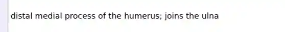 distal medial process of the humerus; joins the ulna