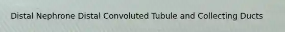 Distal Nephrone Distal Convoluted Tubule and Collecting Ducts