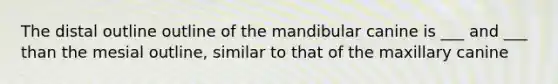 The distal outline outline of the mandibular canine is ___ and ___ than the mesial outline, similar to that of the maxillary canine