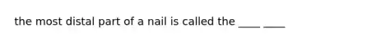 the most distal part of a nail is called the ____ ____