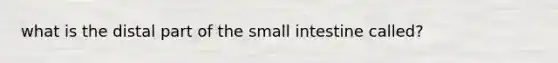 what is the distal part of the small intestine called?