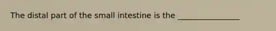 The distal part of the small intestine is the ________________