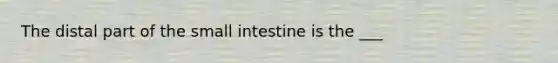 The distal part of the small intestine is the ___