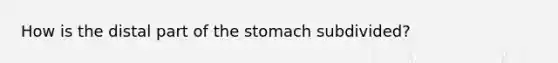 How is the distal part of the stomach subdivided?