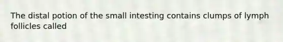 The distal potion of the small intesting contains clumps of lymph follicles called