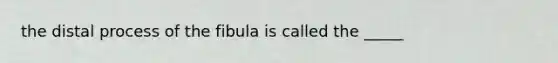 the distal process of the fibula is called the _____