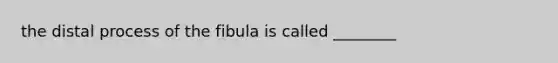 the distal process of the fibula is called ________