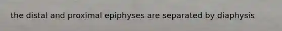 the distal and proximal epiphyses are separated by diaphysis