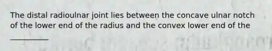 The distal radioulnar joint lies between the concave ulnar notch of the lower end of the radius and the convex lower end of the __________