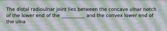 The distal radioulnar joint lies between the concave ulnar notch of the lower end of the __________ and the convex lower end of the ulna