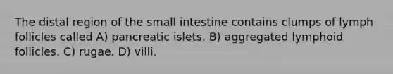 The distal region of the small intestine contains clumps of lymph follicles called A) pancreatic islets. B) aggregated lymphoid follicles. C) rugae. D) villi.