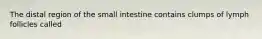 The distal region of the small intestine contains clumps of lymph follicles called