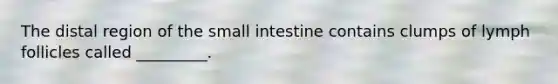 The distal region of the small intestine contains clumps of lymph follicles called _________.