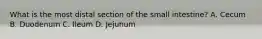 What is the most distal section of the small intestine? A. Cecum B. Duodenum C. Ileum D. Jejunum