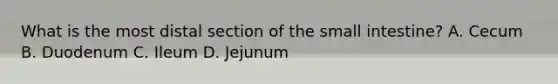 What is the most distal section of the small intestine? A. Cecum B. Duodenum C. Ileum D. Jejunum