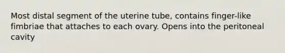 Most distal segment of the uterine tube, contains finger-like fimbriae that attaches to each ovary. Opens into the peritoneal cavity